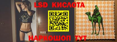 a pvp Краснознаменск