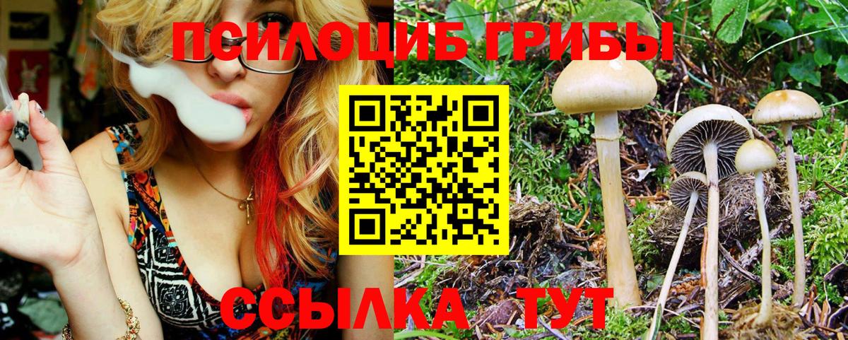 Галлюциногенные грибы мухоморы Сергиев Посад