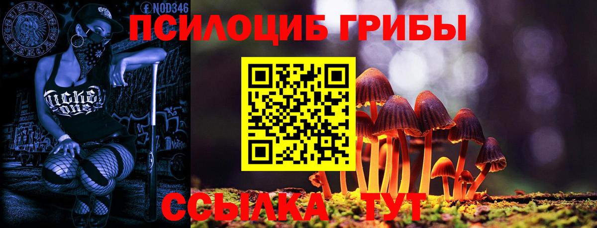 Галлюциногенные грибы Psilocybe  Вход с VPN  Галлюциногенные грибы Magic Shrooms  Сергиев Посад 